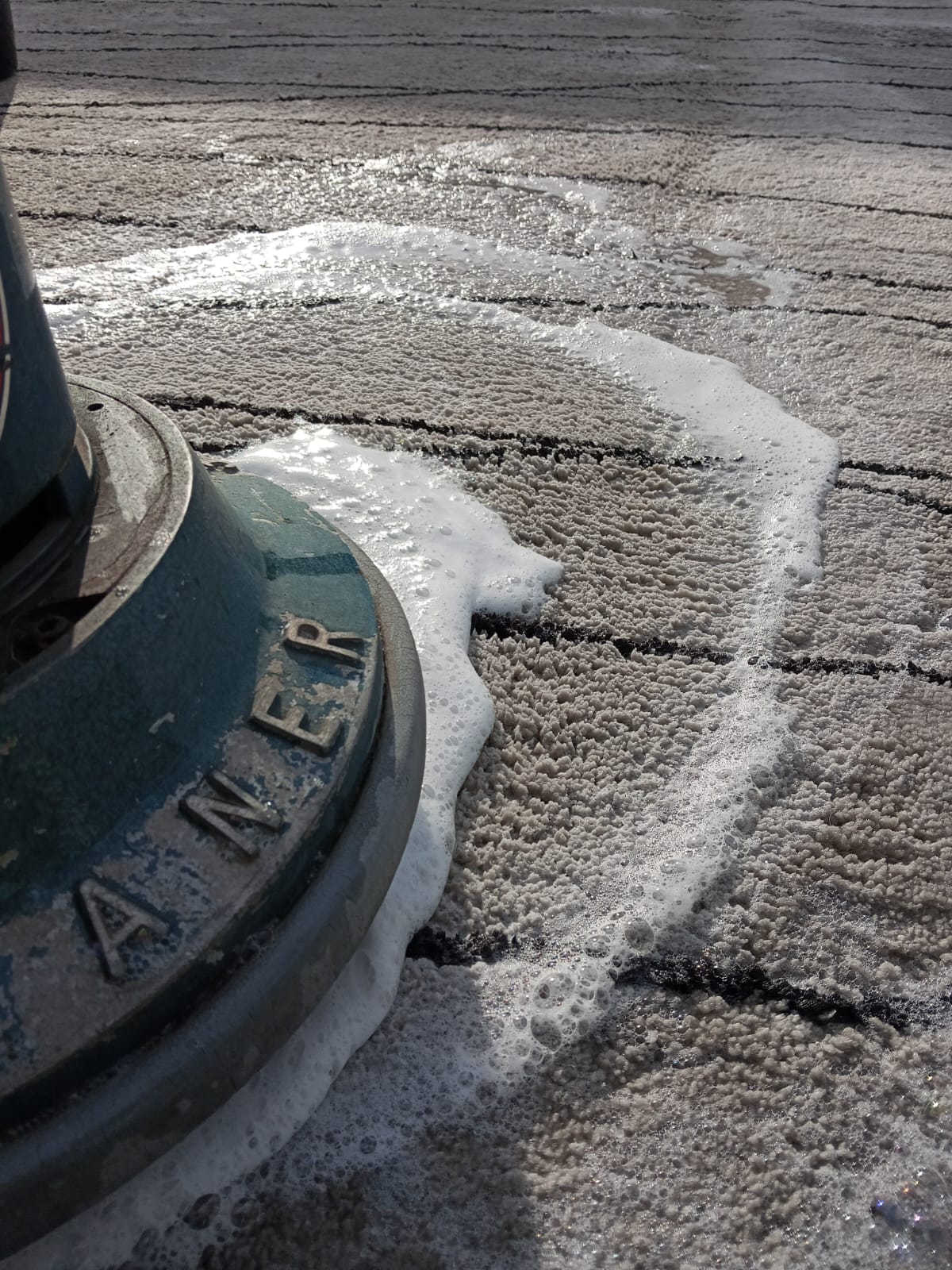 Tapete sendo lavado com máquina rotativa profissional